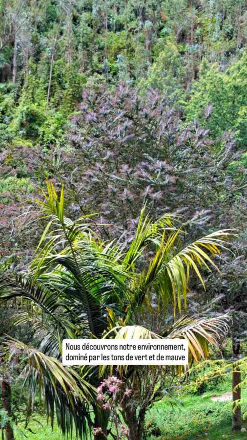 Kombai Park, El Vino, Colombie