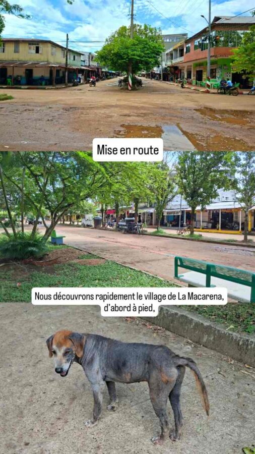 Parc de la Macarena, Colombie, J1
