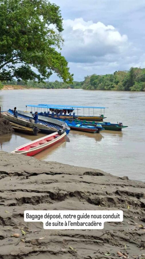 Parc de la Macarena, Colombie, J1, fleuve Guayaraba