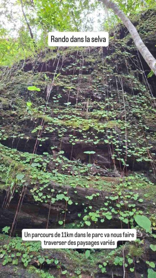 Parc de la Macarena, Colombie, J1, forêt tropicale humide