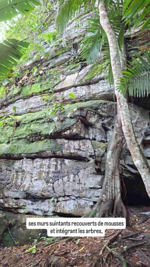 Parc de la Macarena, Colombie, J1, forêt tropicale humide