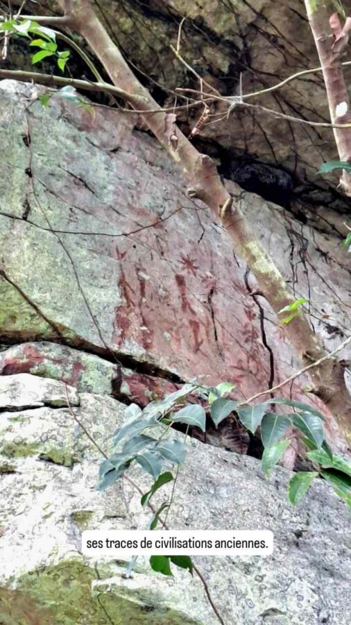Parc de la Macarena, Colombie, J1, forêt tropicale humide et peintures rupestres
