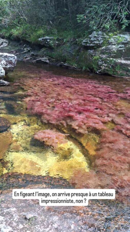 Caño Cristales, la rivière aux 5 couleurs, La Macarena, Colombie