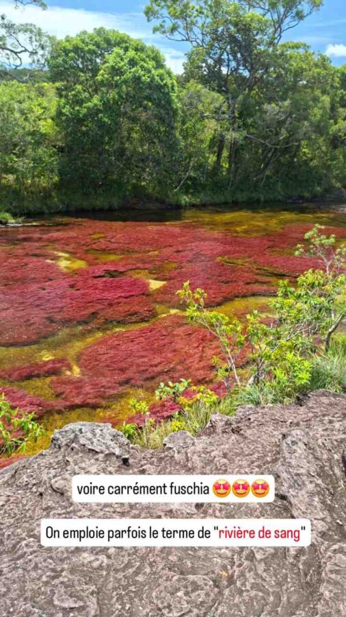 Caño Cristales, la rivière aux 5 couleurs, La Macarena, Colombie, rivière de sang
