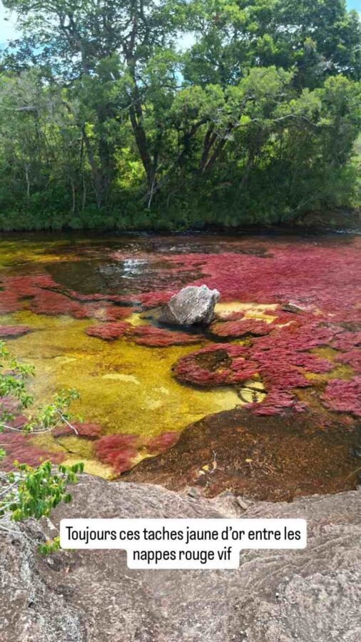 Caño Cristales, la rivière aux 5 couleurs, La Macarena, Colombie