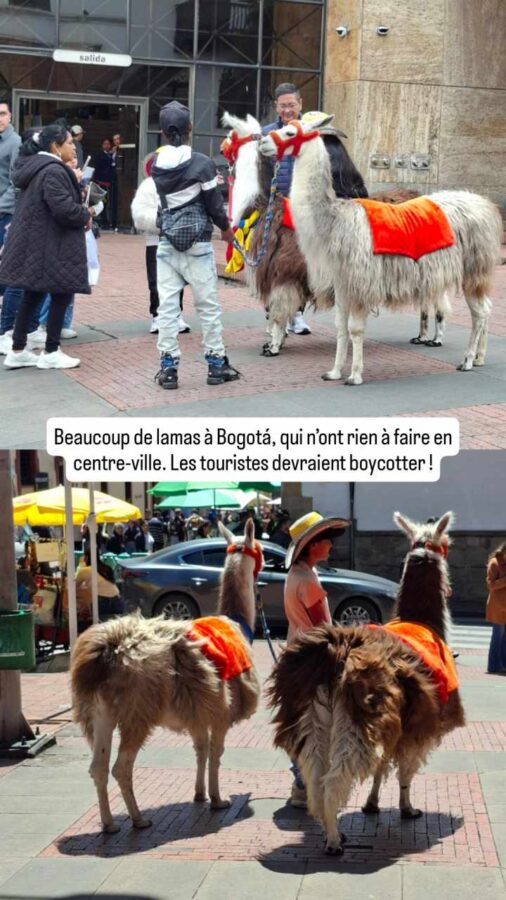 Bogotá, Colombie, En vrac et insolite