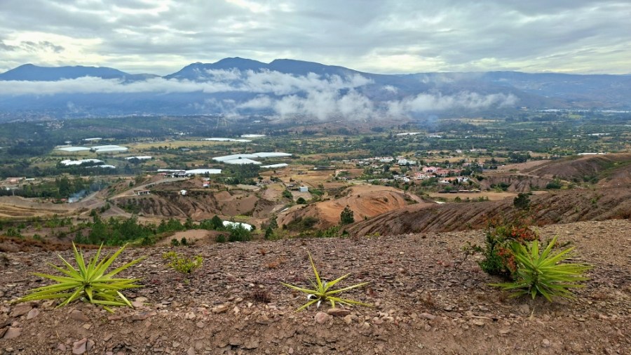 Spot nature près de La Esperanza, Boyacá, Colombie