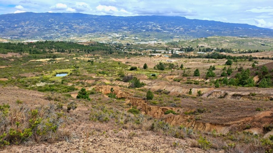 Spot nature près de La Esperanza, Boyacá, Colombie