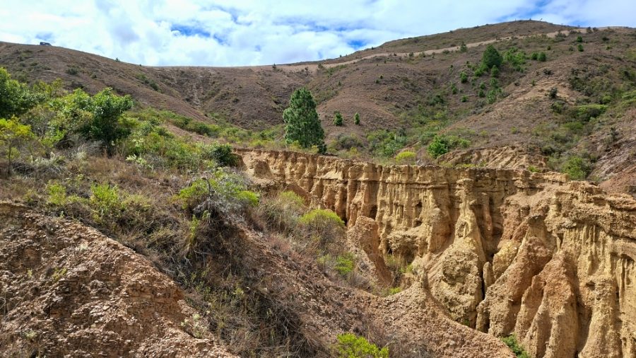 Spot nature près de La Esperanza, Boyacá, Colombie
