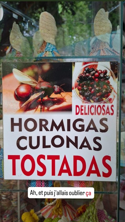 Iza, Colombie : les fourmis à gros cul grillées