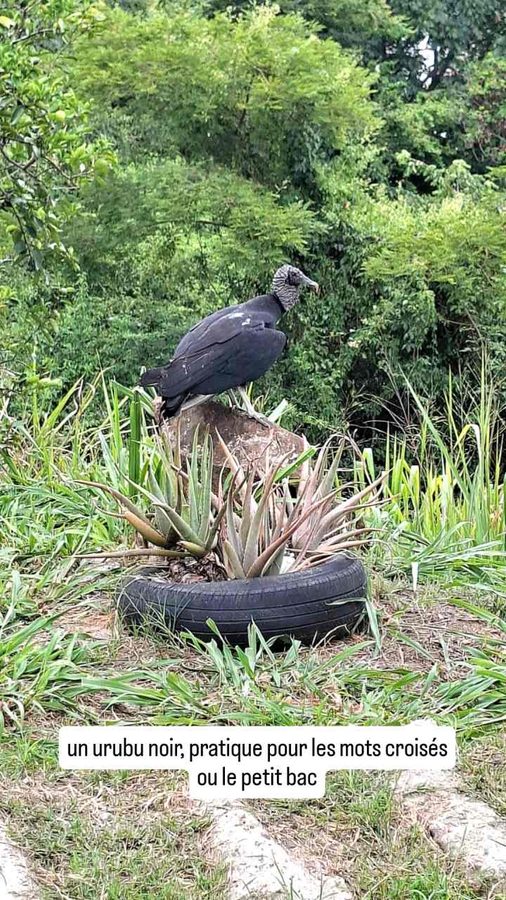 San Gil, Colombie