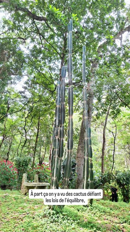 San Gil, Colombie : le Parc du Poulailler