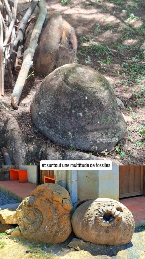 Guane, Colombie, les fossiles
