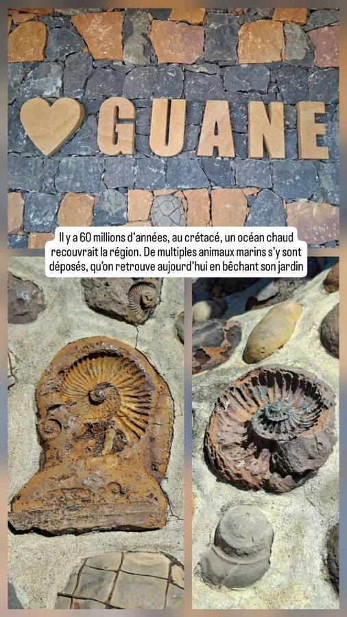Guane, Colombie, les fossiles