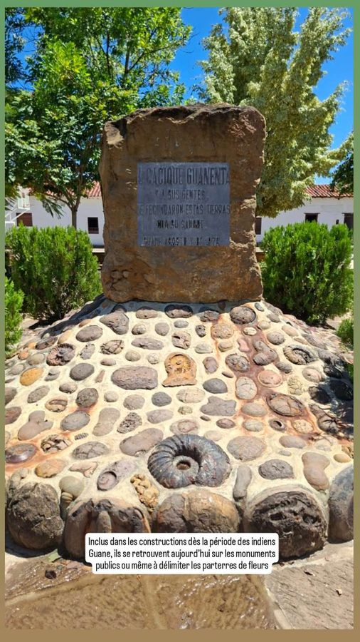 Guane, Colombie, les fossiles
