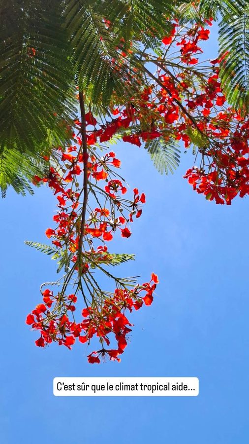 Guane, Colombie, les fleurs