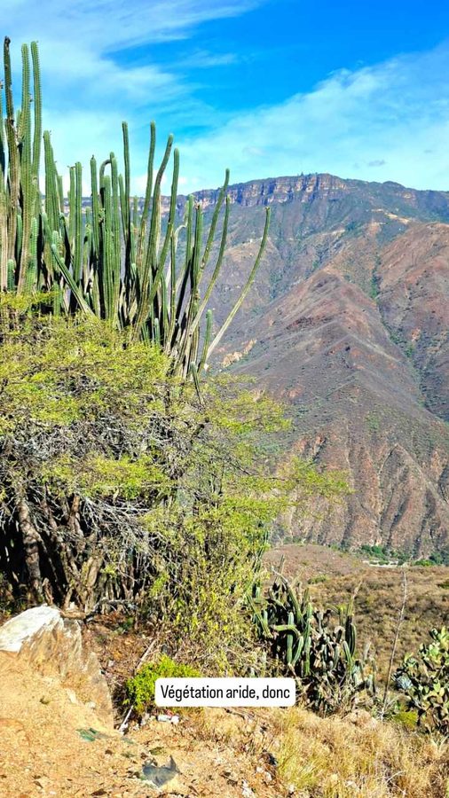 Cañon du Chichamocha, Colombie