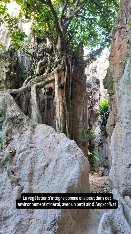 Parc national des Estoraques, Colombie