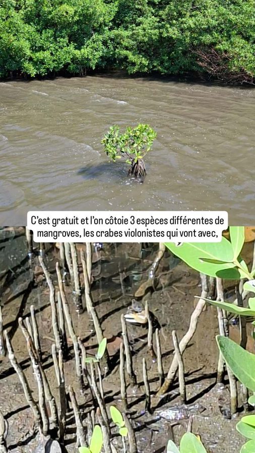 Barranquilla, Colombie, écoparc de Mallorquín