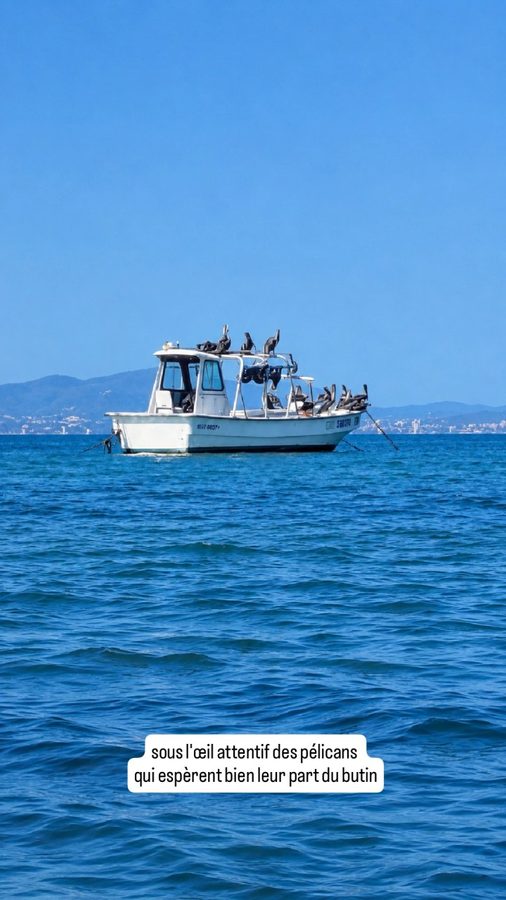Puerto Velero, Colombie