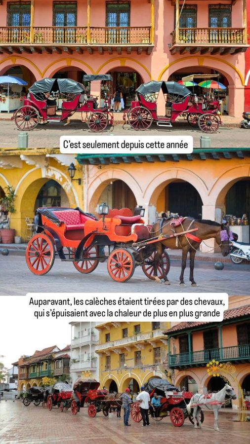 électrification des calèches, Carthagène, Colombie