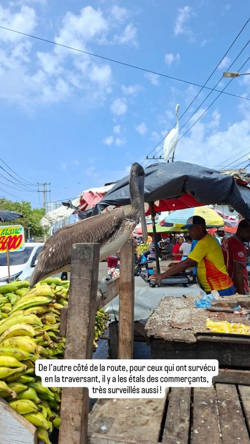 Marché de Bazurto, Carthagène des Indes, Colombie