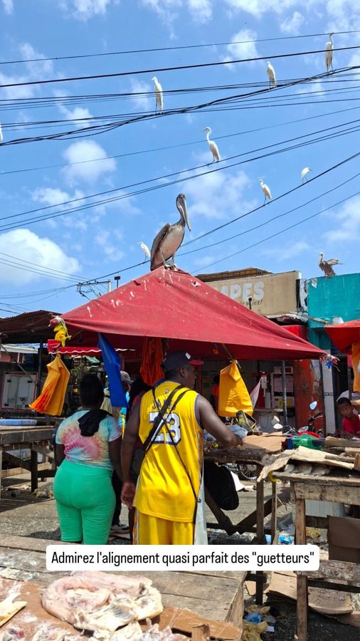 Marché de Bazurto, Carthagène des Indes, Colombie
