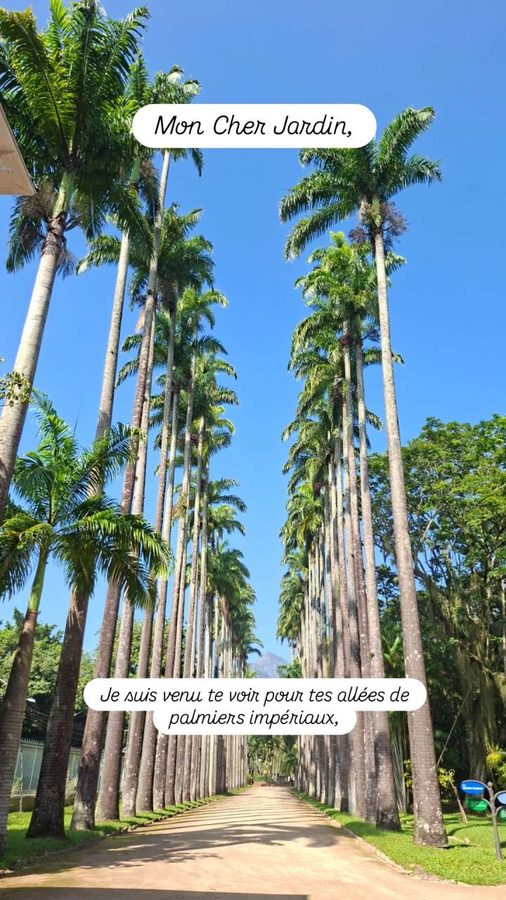 Jardin Botanique, Rio de Janeiro, Brésil