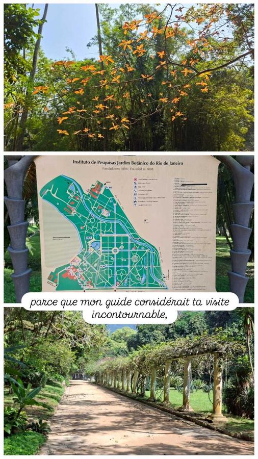Jardin Botanique, Rio de Janeiro, Brésil