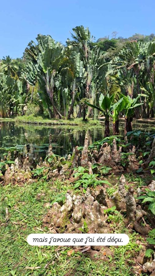Jardin Botanique, Rio de Janeiro, Brésil