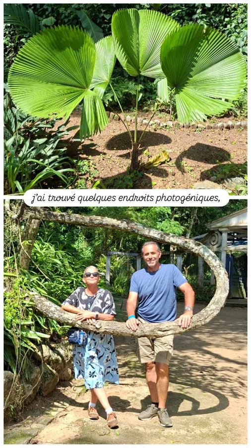 Jardin Botanique, Rio de Janeiro, Brésil