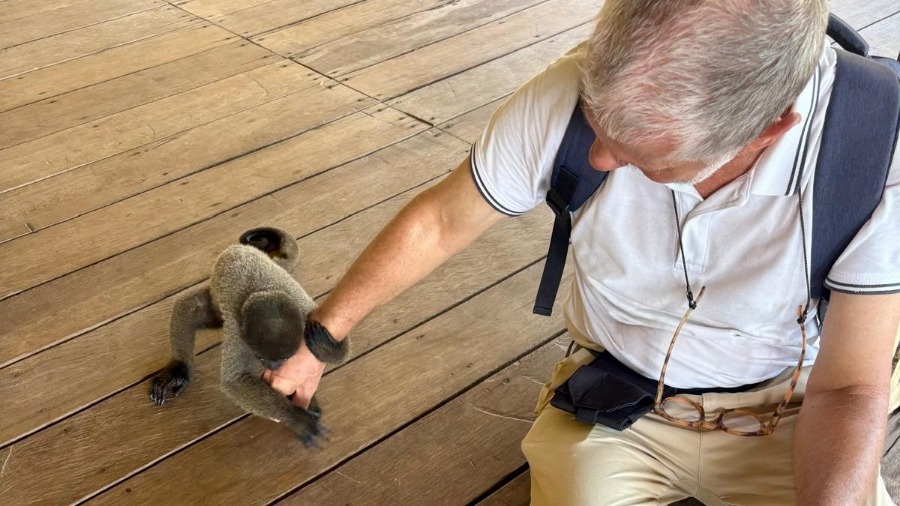 Manaus : Rencontre avec un petit singe