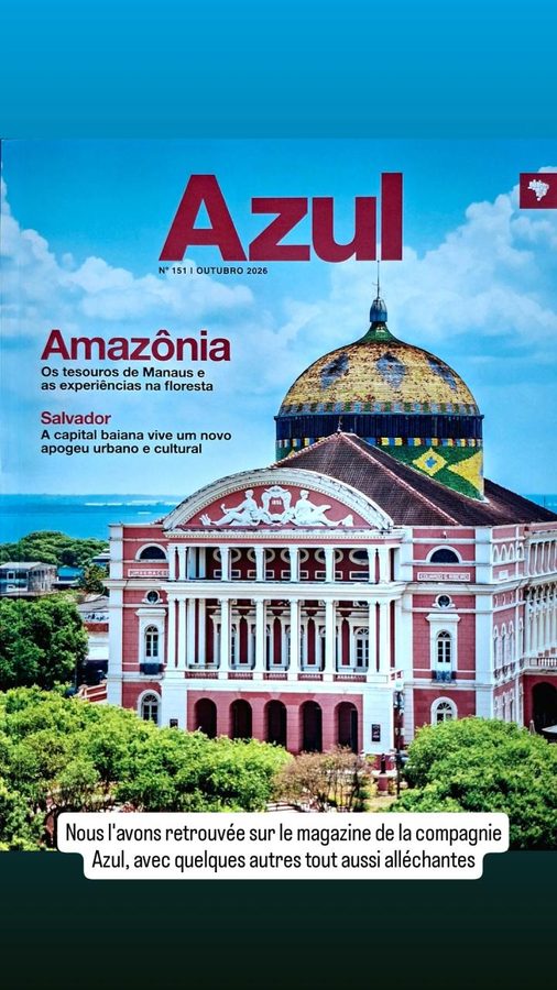 Vol Rio - Manaus, Brésil