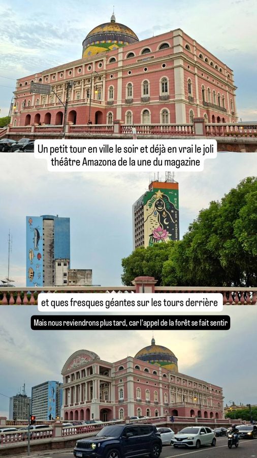 Vol Rio - Manaus, Brésil