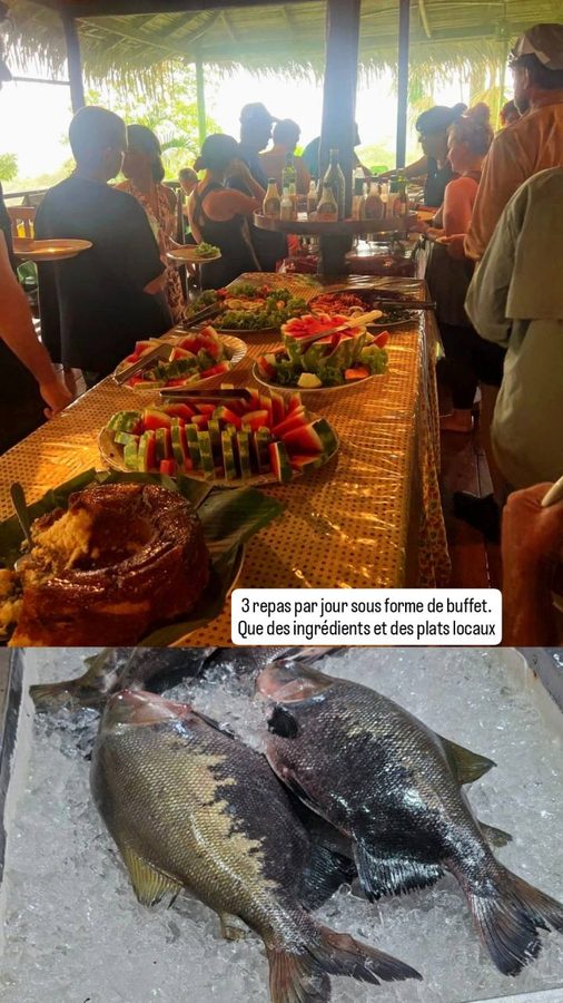 Amazon Tupana Lodge, Brésil : installation et première activité