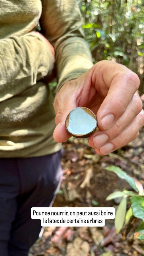 Amazon Tupana Lodge, Brésil : apprentissage de la forêt