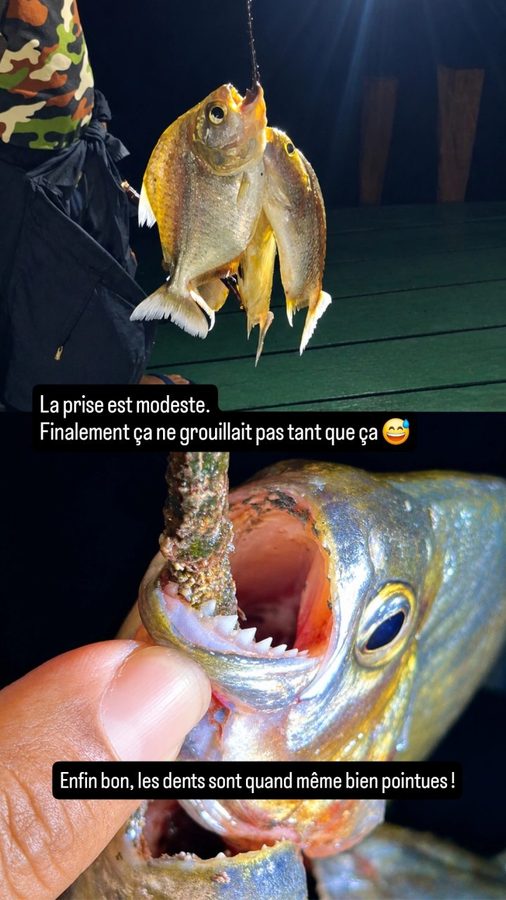 Amazon Tupana Lodge, Brésil : pêche au piranha