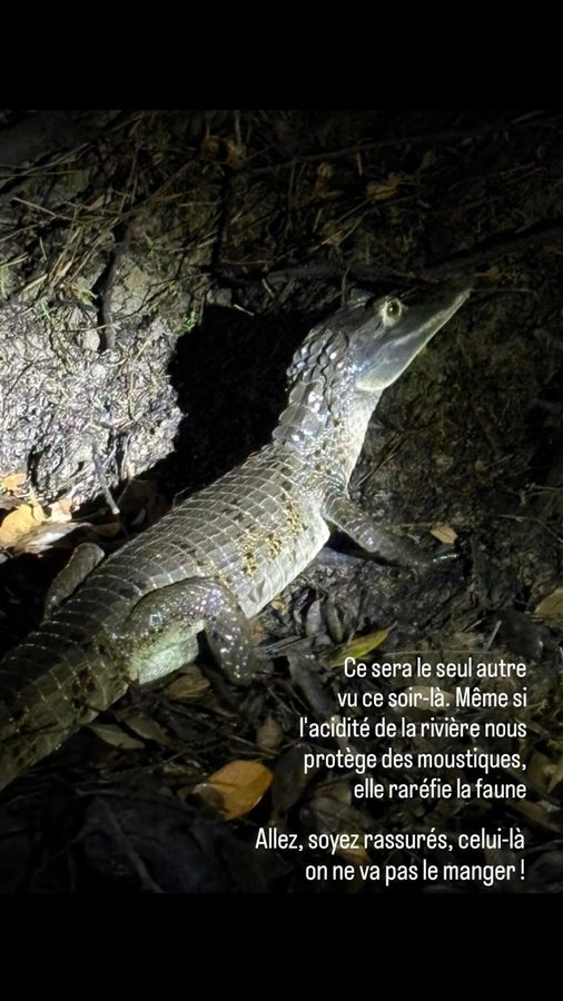 Amazon Tupana Lodge, Brésil : la nuit des caïmans