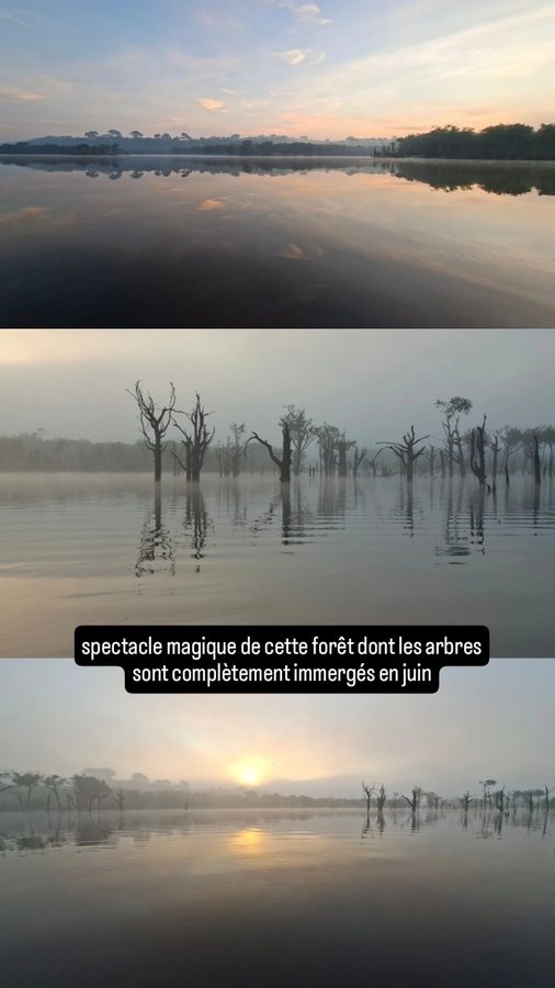 Amazon Tupana Lodge, Brésil : sortie lever de soleil