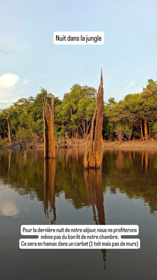 Amazon Tupana Lodge, Brésil : dauphins roses et nuit dans la jungle