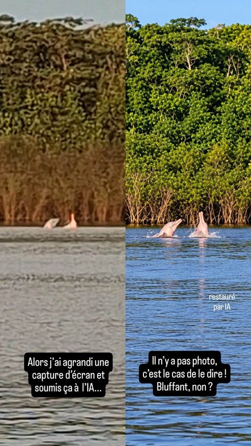 Amazon Tupana Lodge, Brésil : dauphins roses et nuit dans la jungle
