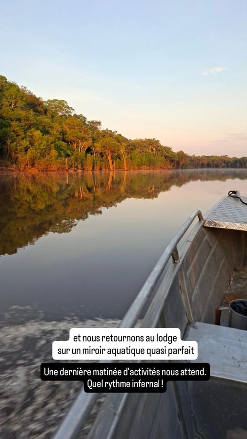 Amazon Tupana Lodge, Brésil : dauphins roses et nuit dans la jungle