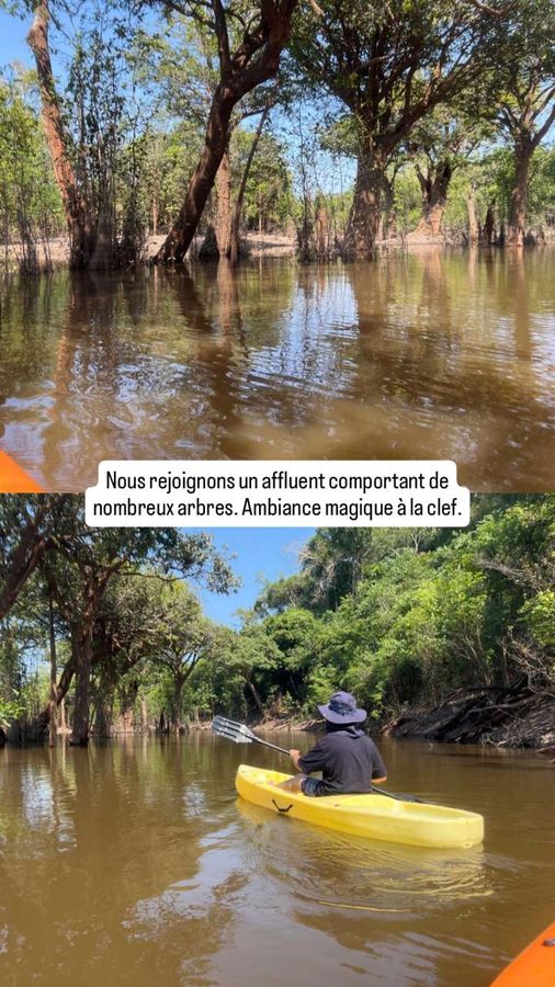 Amazon Tupana Lodge, Brésil : dernier matin kayak