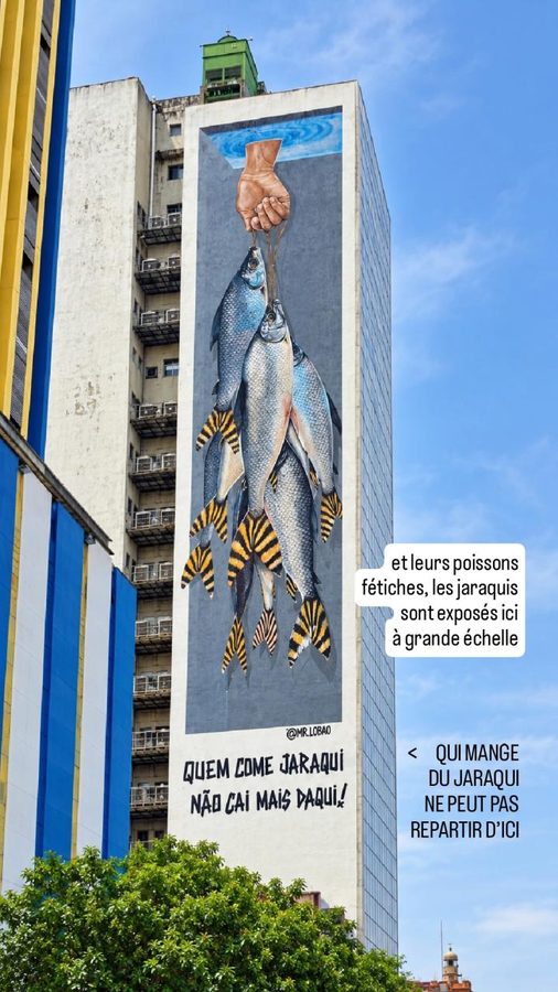 Manaus : l'héritage amérindien des Manaos
