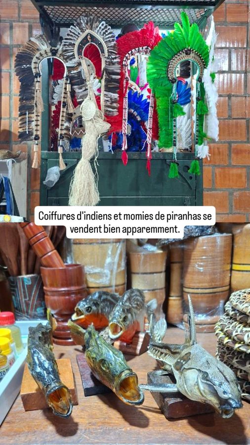 Le Marché Adolpho Lisboa de Manaus
