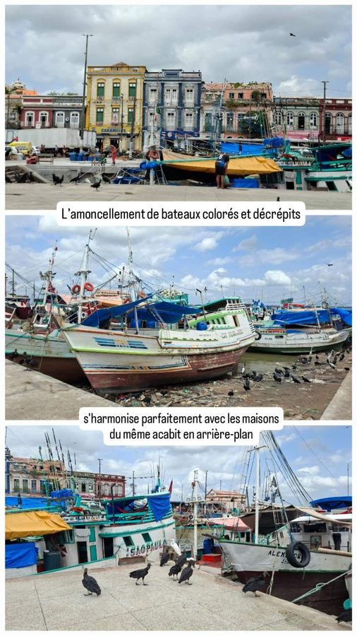 Ambiance port de pêche à Belém