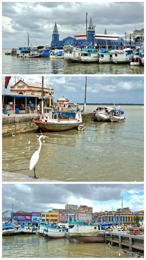 Ambiance port de pêche à Belém
