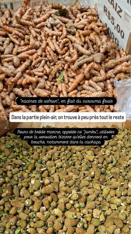 Marché Voir-et-Peser, Belém, Brésil