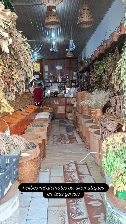 Marché Voir-et-Peser, Belém, Brésil
