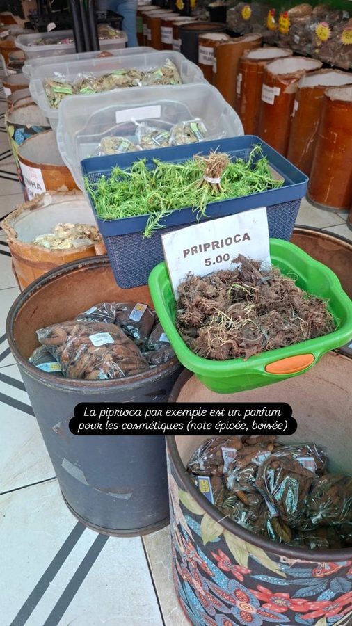 Marché Voir-et-Peser, Belém, Brésil